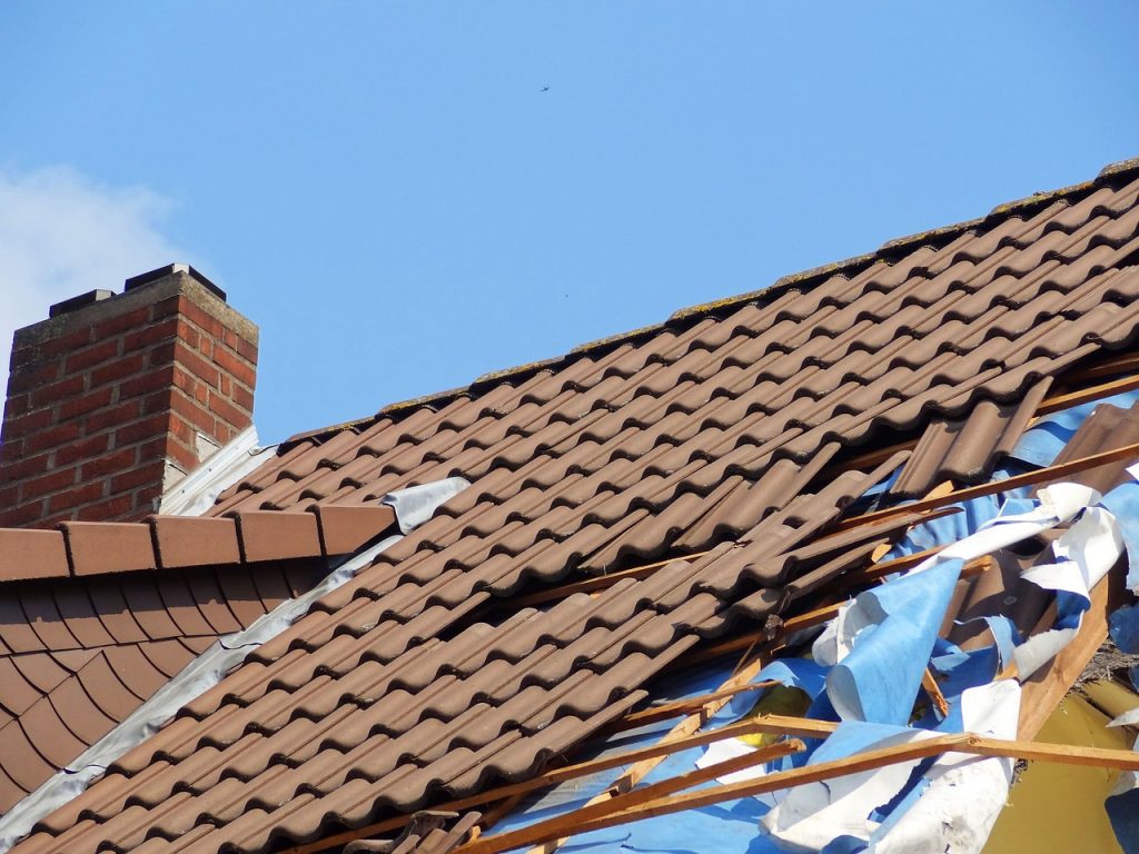 signs of roof damage